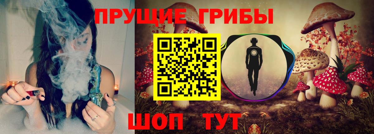 Галлюциногенные грибы Psilocybine cubensis  Псилоцибиновые грибы мухоморы  сколько стоит  Вход с VPN  Анжеро-Судженск 
